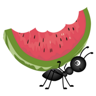 Ant Stickers & Decals | Free Shipping
