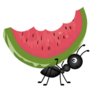 Ant Carrying Watermelon Cartoon Sticker