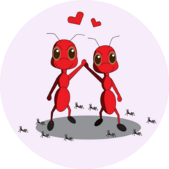  Ant Couple In Love Heart Sticker