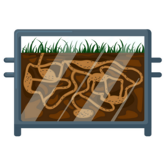 Ant Farm Isolated Sticker