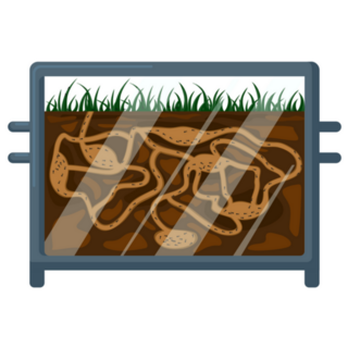 Ant Farm Isolated Sticker