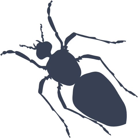 Ant Sticker - Fast Shipping & No Minimums