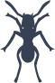 Ant With Long Antennae Sticker