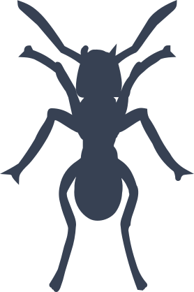 Ant With Long Antennae Sticker