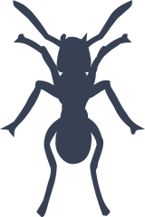 Ant With Long Antennae Sticker