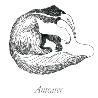 Anteater Engraving Style Sticker