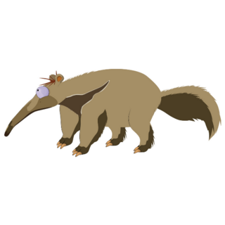 Anteater Simple Sticker