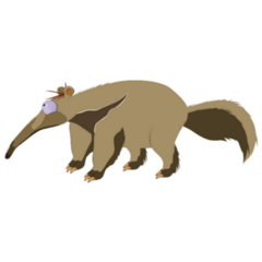 Anteater Simple Sticker