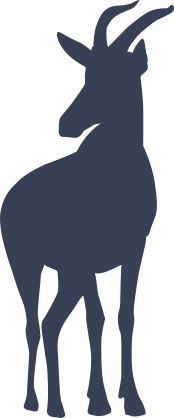 Antelope Facing Forward Sticker