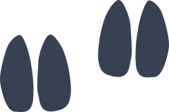 Antelope Footprints Sticker