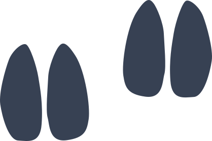 Antelope Footprints Sticker