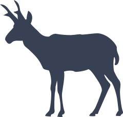 Antelope Silhouette Sticker