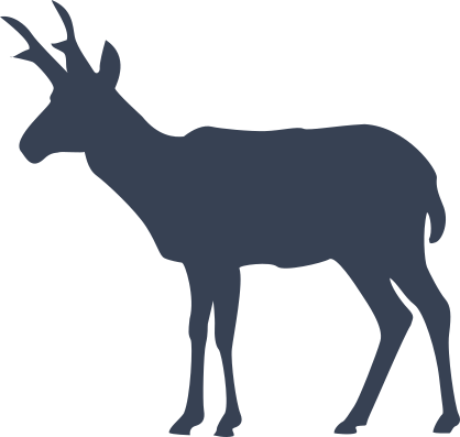 Antelope Silhouette Sticker