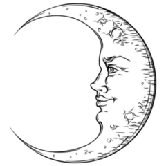 Antique Art Crescent Moon Boho Sticker