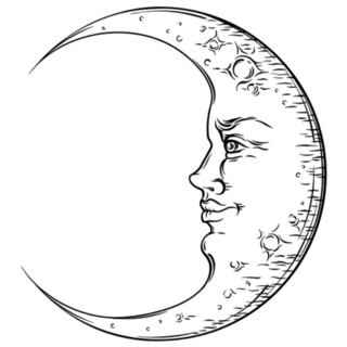 Antique Art Crescent Moon Boho Sticker