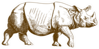 Antique Engraving Drawing Of Rhino Sticker