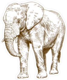 Antique Engraving Elephant Sticker