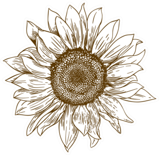 Antique Engraving Sunflower Sticker