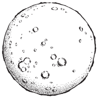 Antique Style Hand Drawn Full Moon Sticker