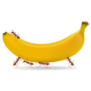 Ants On Banana Sticker