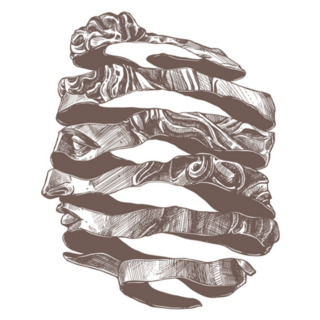 Apollo Classical Ancient Statue In New Retro Sticker