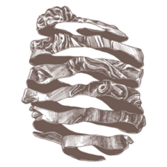 Apollo Classical Ancient Statue In New Retro Sticker