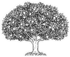 Apple Tree Full Of Ripe Apples Sticker