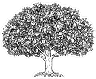 Apple Tree Full Of Ripe Apples Sticker