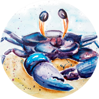 Aquarelle Painting Of Crab Sketch Art Illustration Sticker