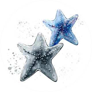 Aquarelle Painting Of Starfish Sketch Sticker