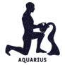 Aquarius Astrology Sign Lettering Sticker