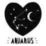 Aquarius Hand Drawn Zodiac Heart Sticker