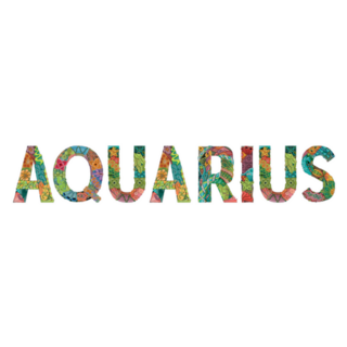 Aquarius Lettering Sticker