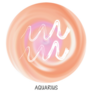 Aquarius Star Map Sticker