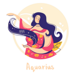Aquarius Zodiac Air Sign Sticker