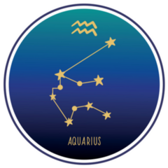 Aquarius Zodiac Constellation Circle Sticker