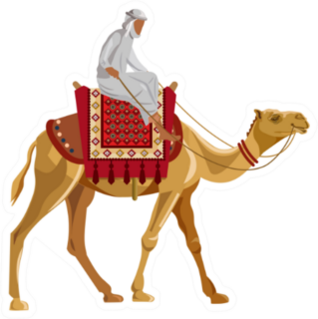 Arab Man Riding A Camel Sticker