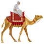 Arab Man Riding A Camel Sticker