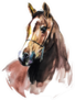 Arabian Horse - Painting Sticker