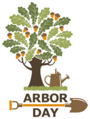 Arbor Day Illustration Sticker