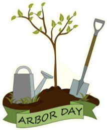 Arbor Day Tree Sapling Sticker