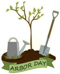 Arbor Day Tree Sapling Sticker