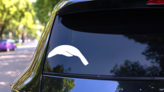 Arched Sea Lion Seal Sticker on a Rear Car Window (New) example