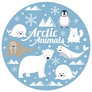 Arctic Animals Seal Sticker