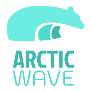Arctic Wave Sticker
