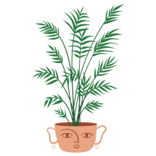 Areca Palm Indoor Plant in Cute Face Pot Sticker