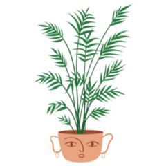 Areca Palm Indoor Plant in Cute Face Pot Sticker