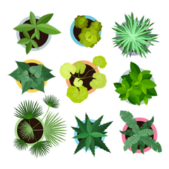 Arial View of Various Colorful Potted Indoor Plants Sticker