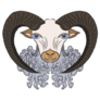 Aries Astrology Sign Ram Sticker