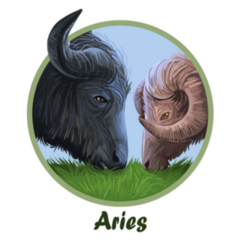 Aries Ox Year Horoscope Zodiac Sign Sticker